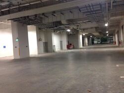 North Spring Bizhub (D27), Factory #503537931